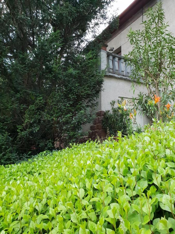 Kasza Villa Balatonfüred Εξωτερικό φωτογραφία