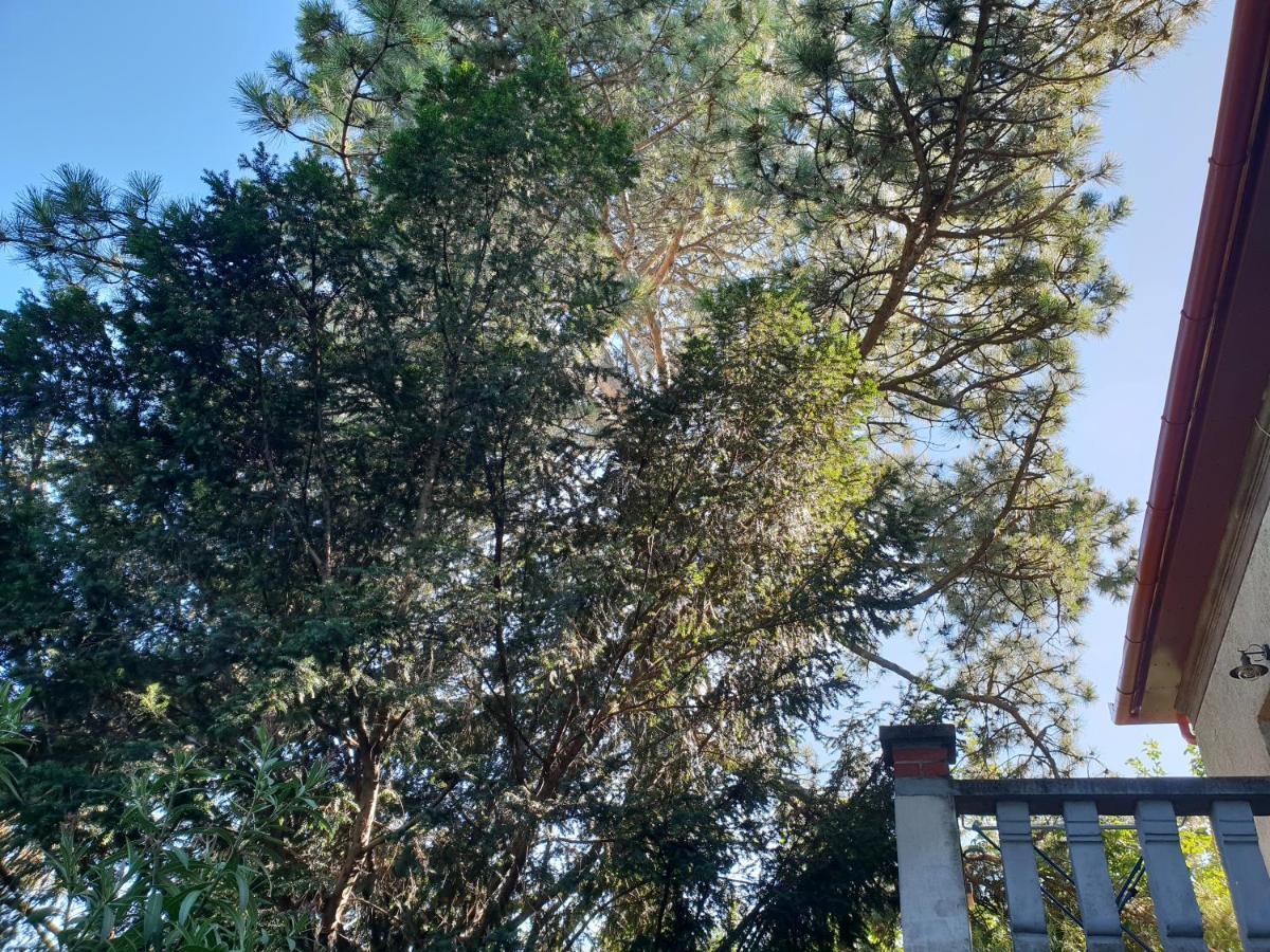 Kasza Villa Balatonfüred Εξωτερικό φωτογραφία