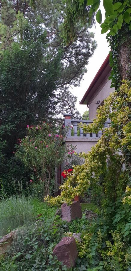Kasza Villa Balatonfüred Εξωτερικό φωτογραφία