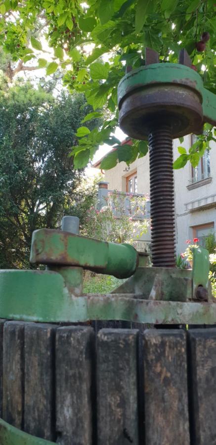Kasza Villa Balatonfüred Εξωτερικό φωτογραφία